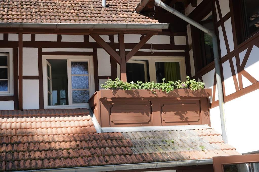 Haus Nilson Apartamento Gengenbach Exterior foto